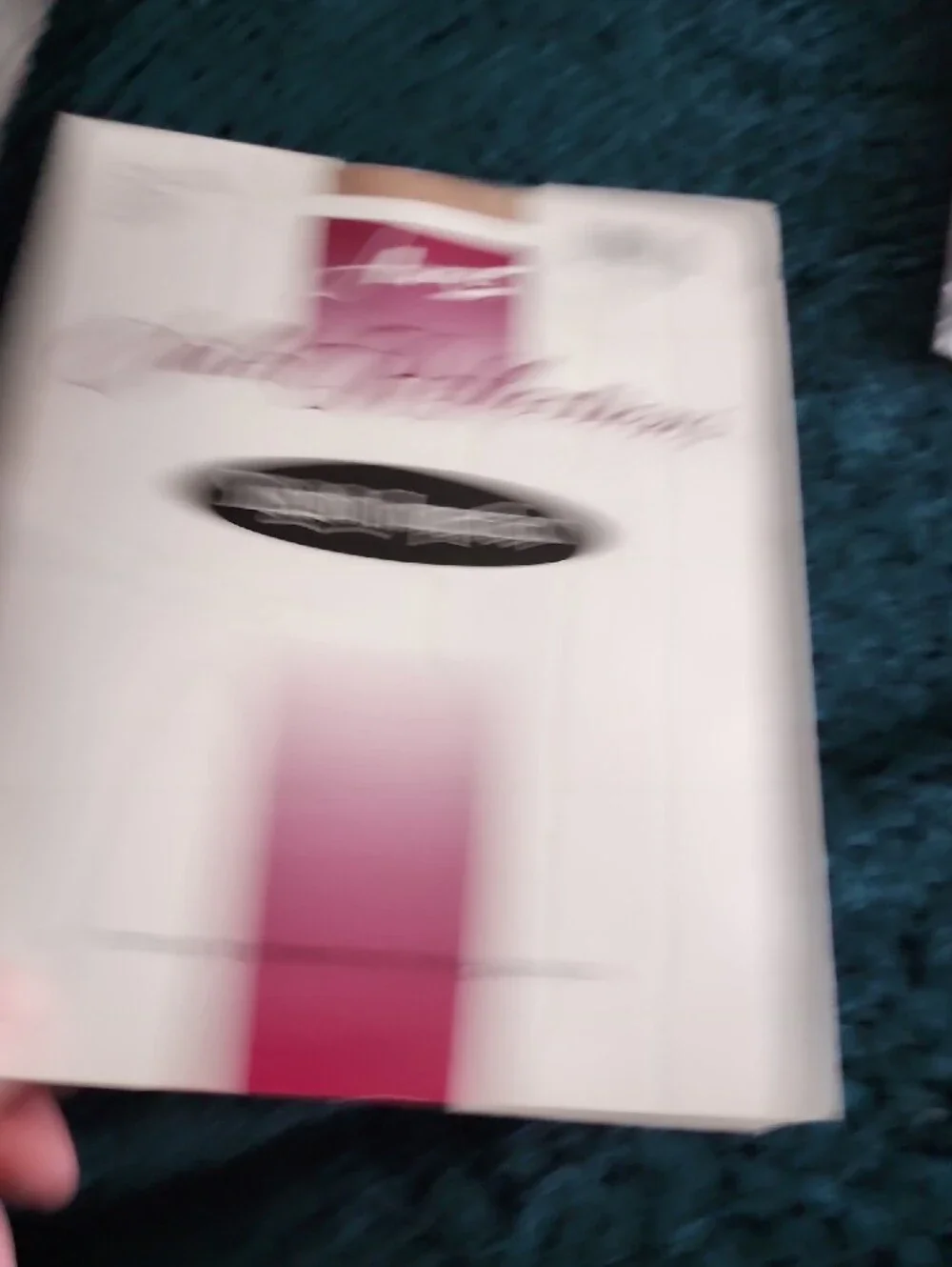Hosiery Lot NIB